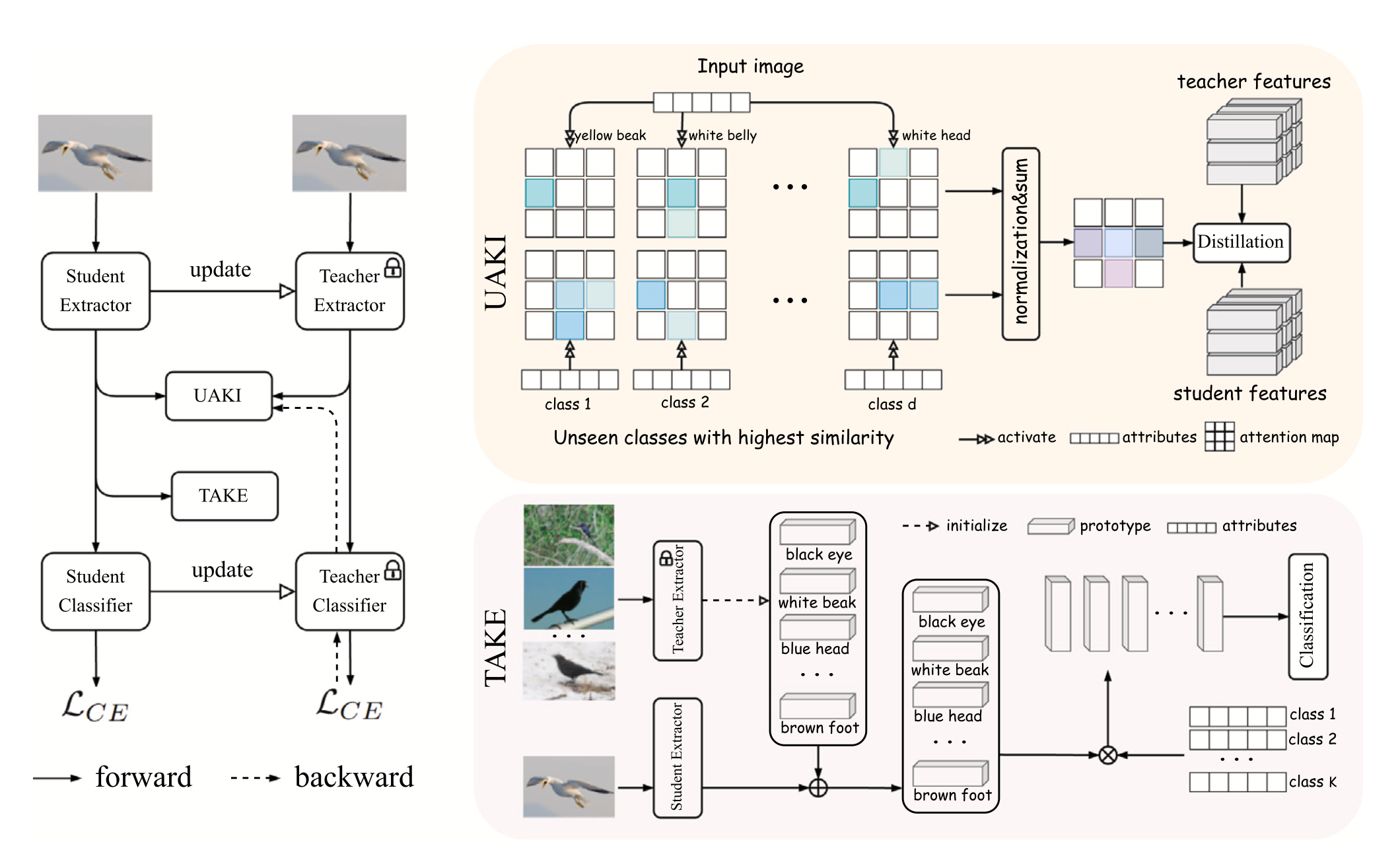 Attribute Knowledge Inheritance and Evolution for Generalized Zero-shot Learning