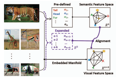 AMS-SFE: Towards an Alignment of Manifold Structures via Semantic Feature Expansion for Zero-Shot Learning