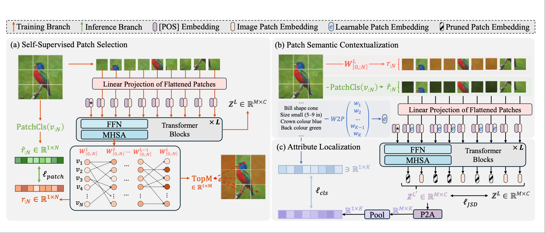 SVIP: Semantically Contextualized Visual Patches for Zero-Shot Learning